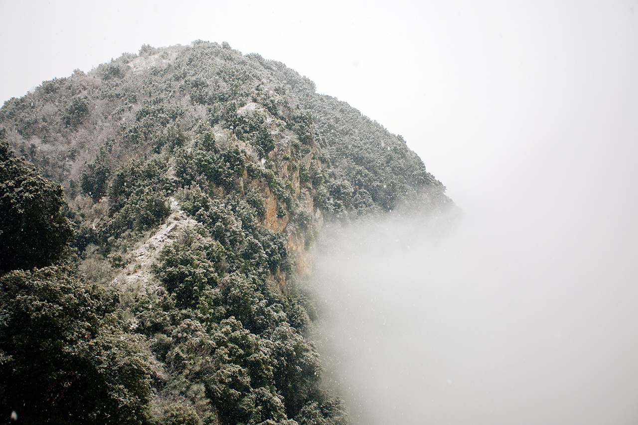 lauria neve nebbia